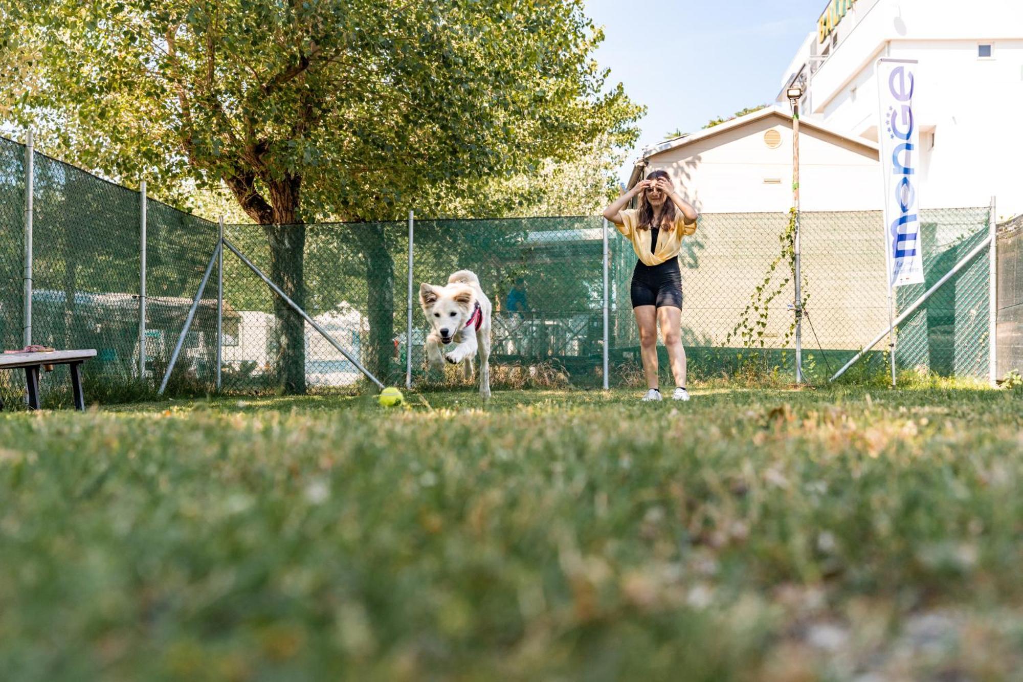 Club Del Sole Riccione Easy Camping Village Екстериор снимка